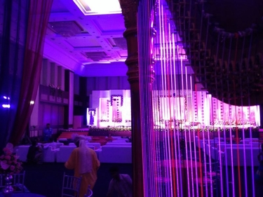 Ahmedabad India Harpist