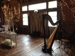 Elkhart Indiana Harpist
