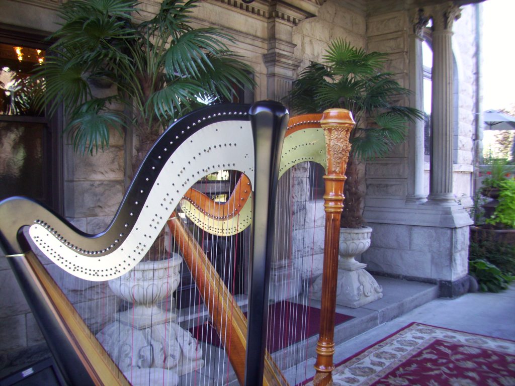 Northern Indiana Harp Duet