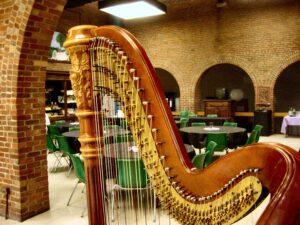 Harpist in Columbus Indiana