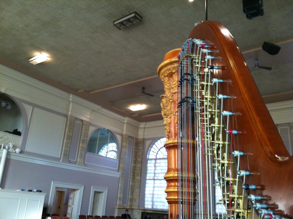 Battle Creek Harpist