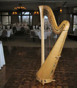 Wedding Harpist Chicago Suburbs