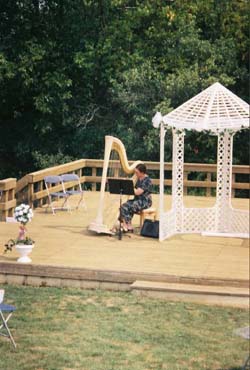 Wedding Harpist North Central IL