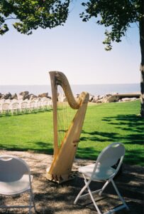 Harpist in Port Clinton OH