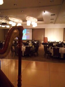 Champaign IL Harpist