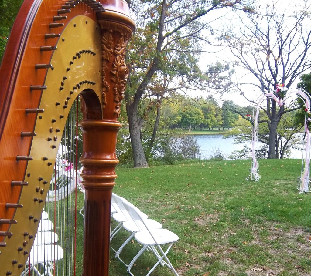 Wedding Harpist Champaign