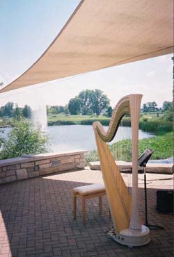 Chesterton IN Harpist