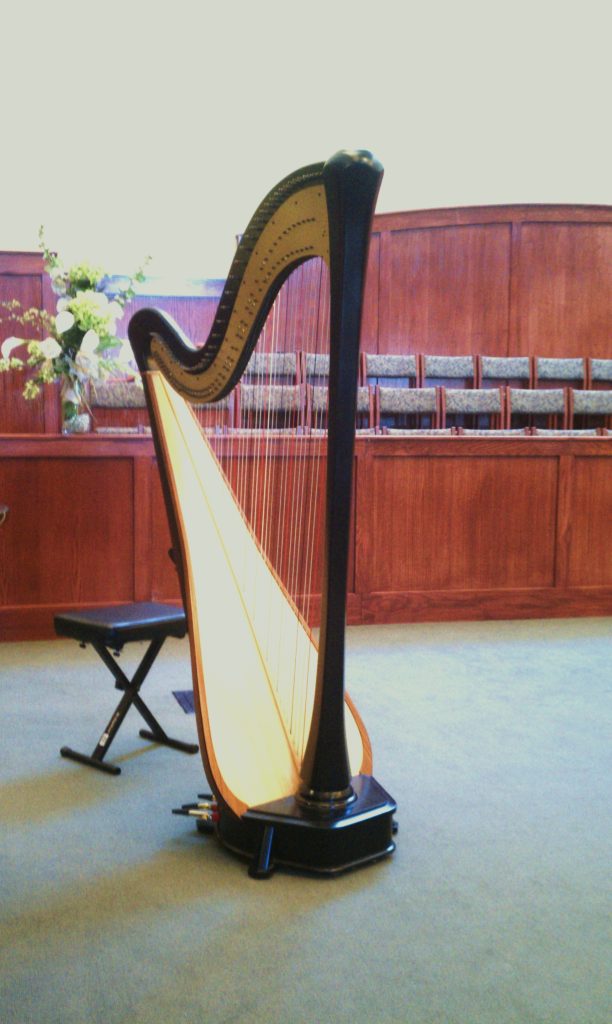 Harpist Ludington Michigan