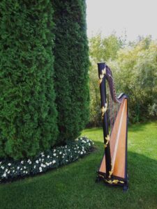 Best Harpist in Detroit