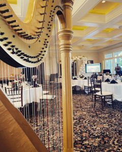Central Missouri Harpist