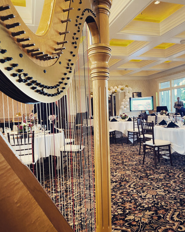 Central Missouri Harpist