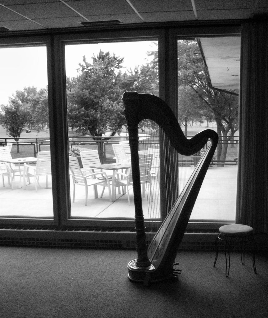 Chicago Event Harpist