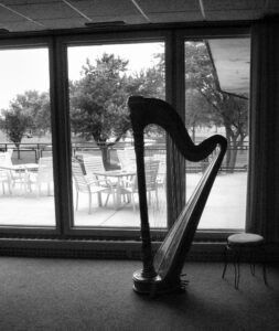 Chicago Harpist for Weddings