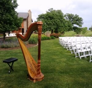 LaSalle IL Harpist