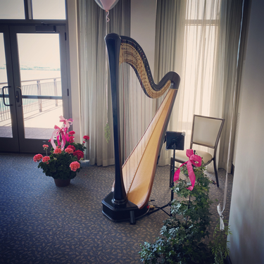 Harp Music Madison