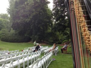 Harpist in Midland Michigan