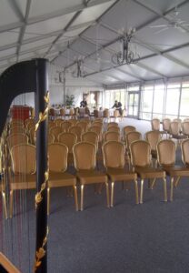 Milwaukee WI Harpist