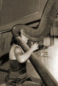 Best Harpist Indiana