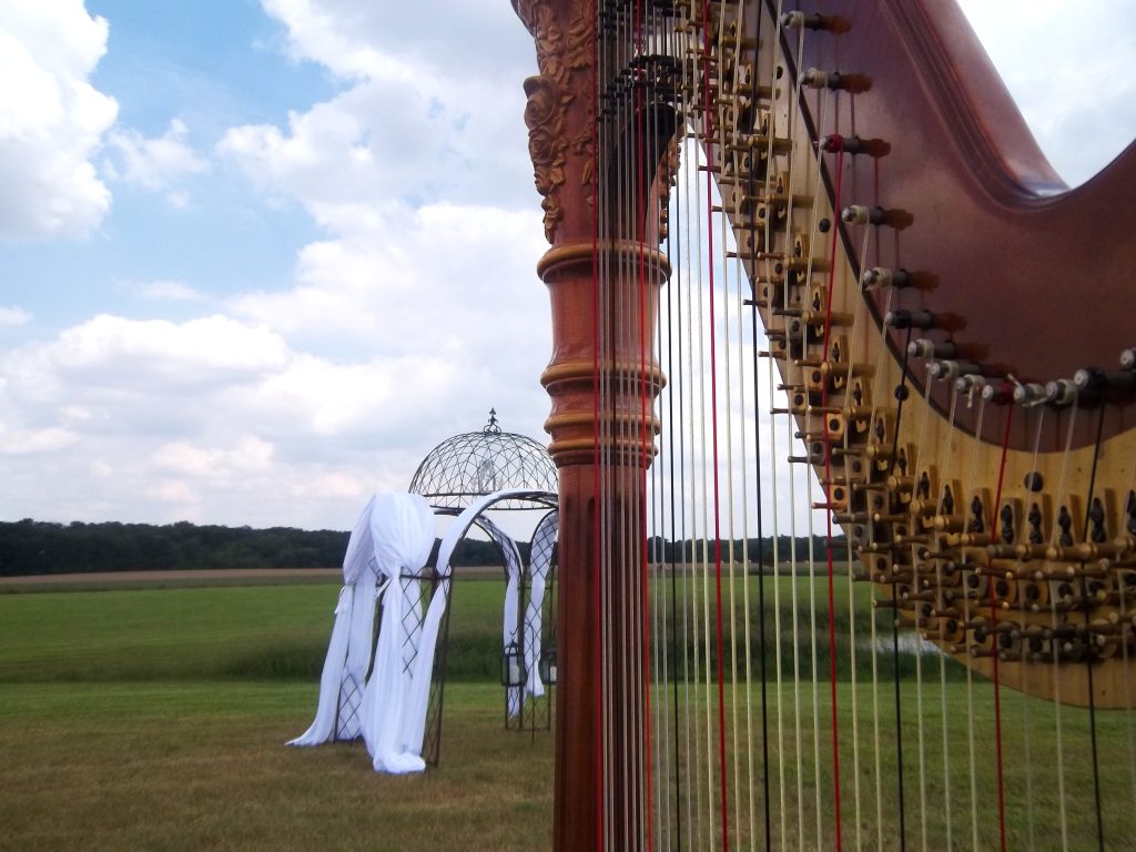 Decatur IL Harpist