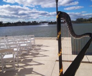 Live Wedding Ceremony Music Northwest Indiana