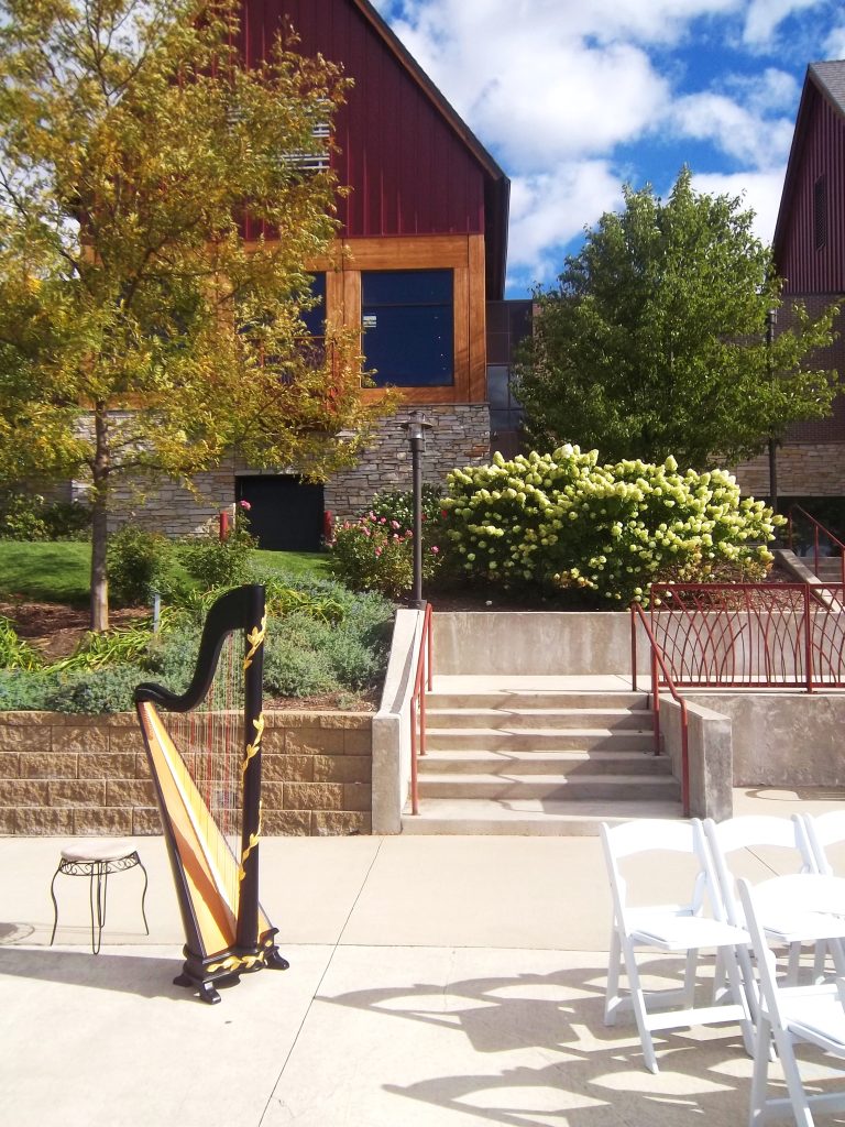 Munster Indiana Harpist