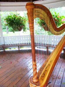 Hobart Indiana Harpist