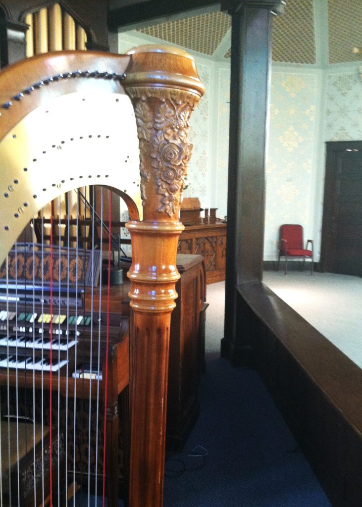 Wedding Harpist Ottawa Illinois