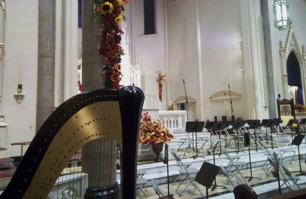 Central Illinois Orchestral Harpist