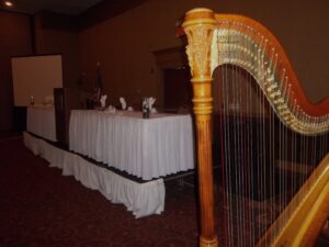 Harp Player in Peoria