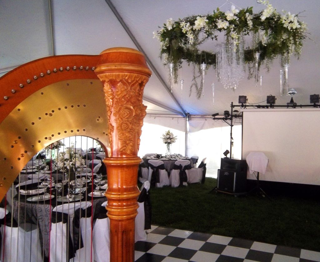 Harp Player Pittsfield IL