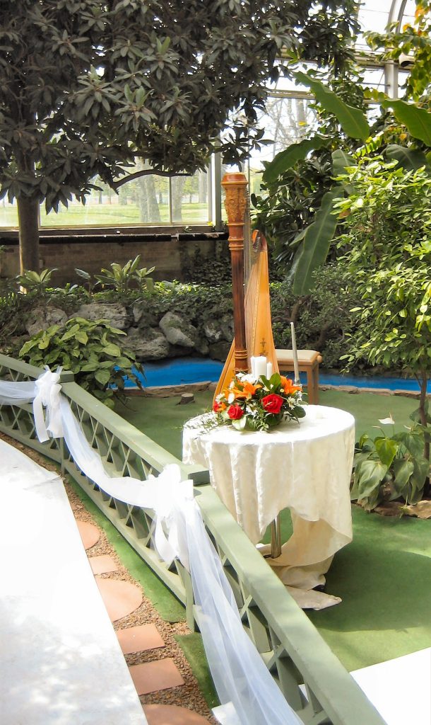 Harp Player South Bend