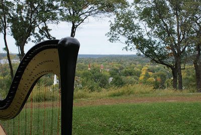 Western Wisconsin Harpist