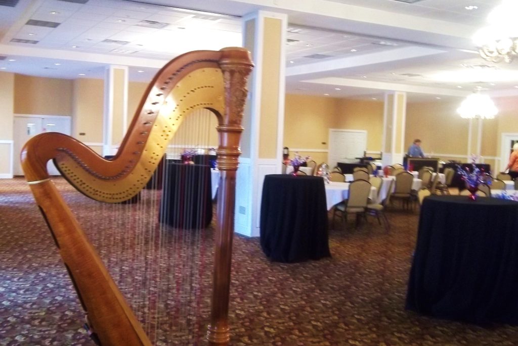 Quincy IL Wedding Harpist