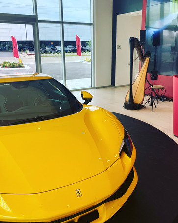 St. Louis Harp Music