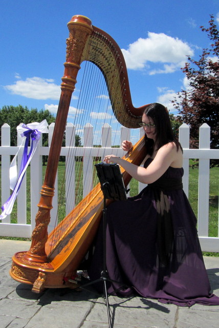 Harp Player Louisville Kentucky