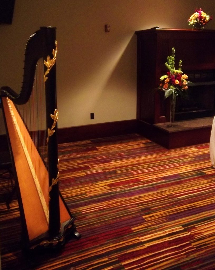 Wedding Harpist Springfield