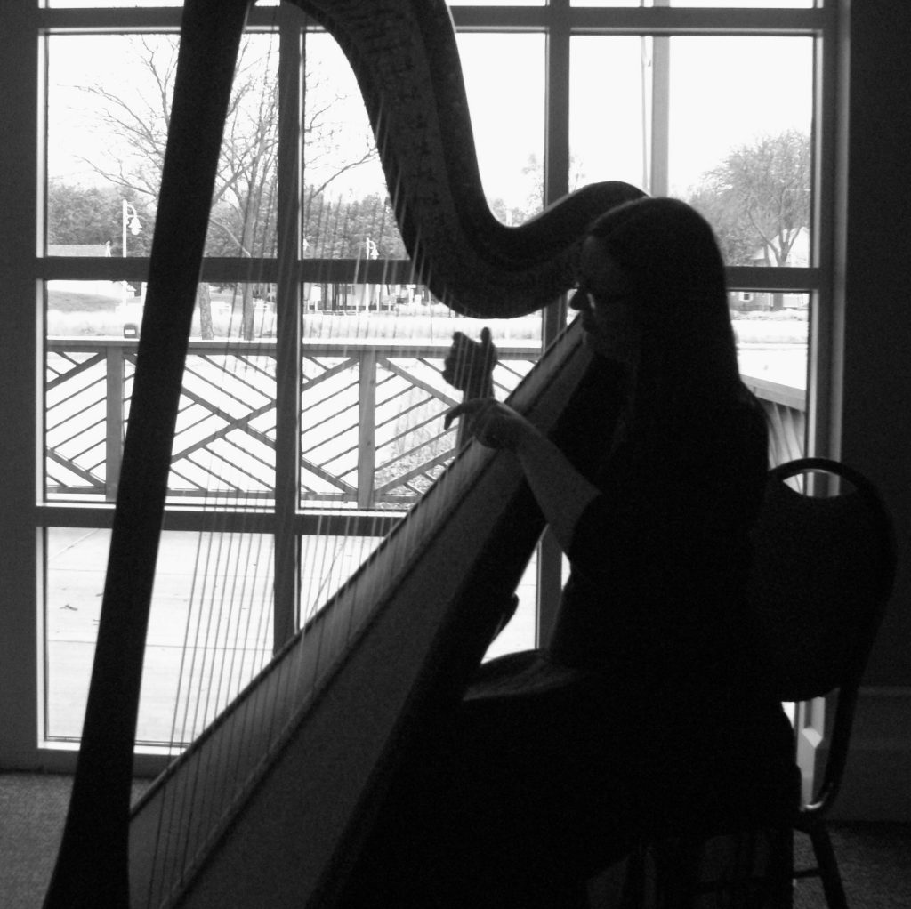 Wedding Harpist Southwest Michigan