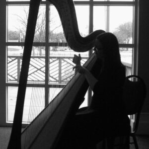 Wedding Harpist Southwest MI