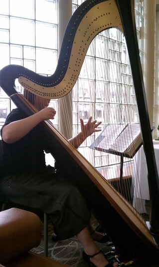 South Bend Harpist