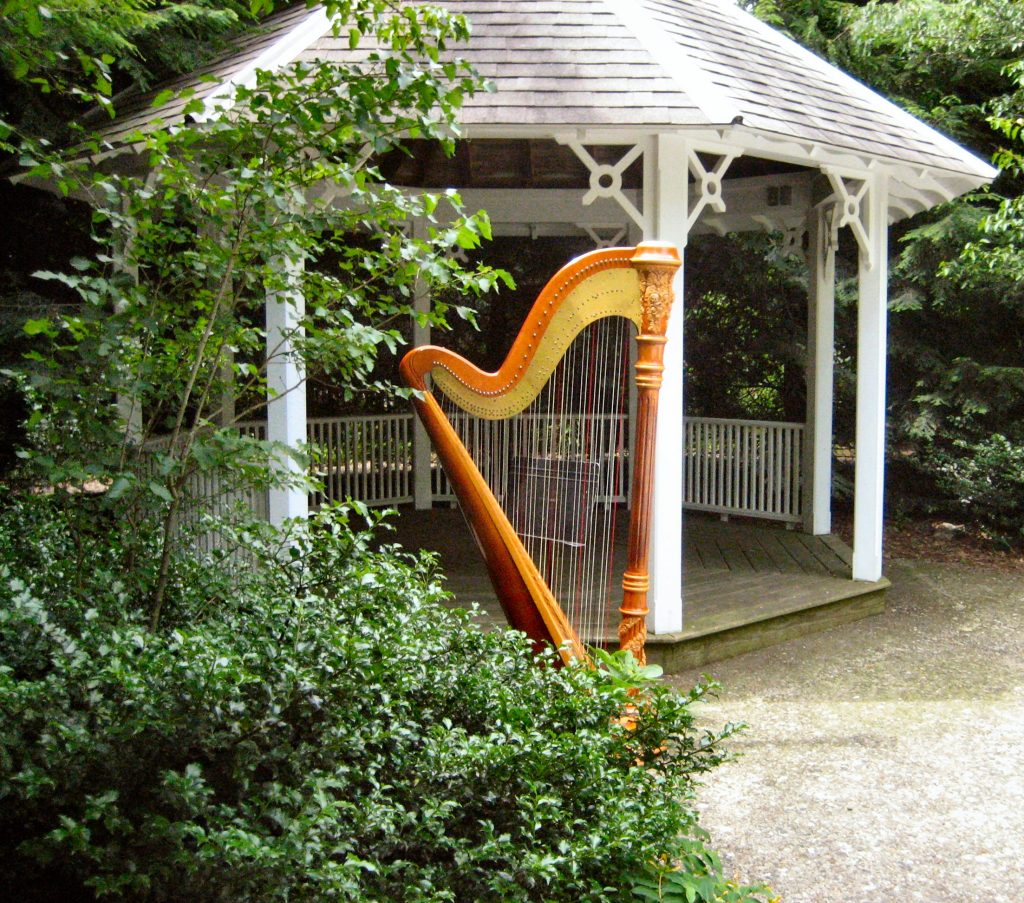 Wedding Harpist Kalamazoo