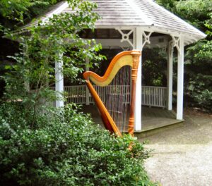 Kalamazoo Wedding Harpist