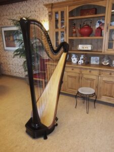 Harpist in Terre Haute
