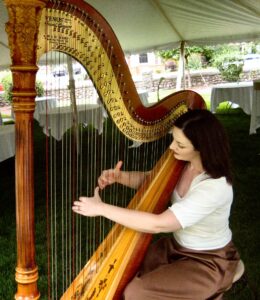 Best Harpist in South Bend