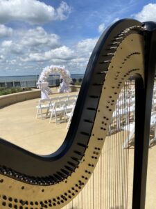 Bloomfield IN Harpist