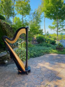 Danville IN Harpist