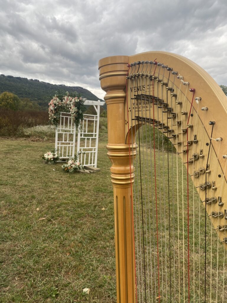 Benton AR Harpist
