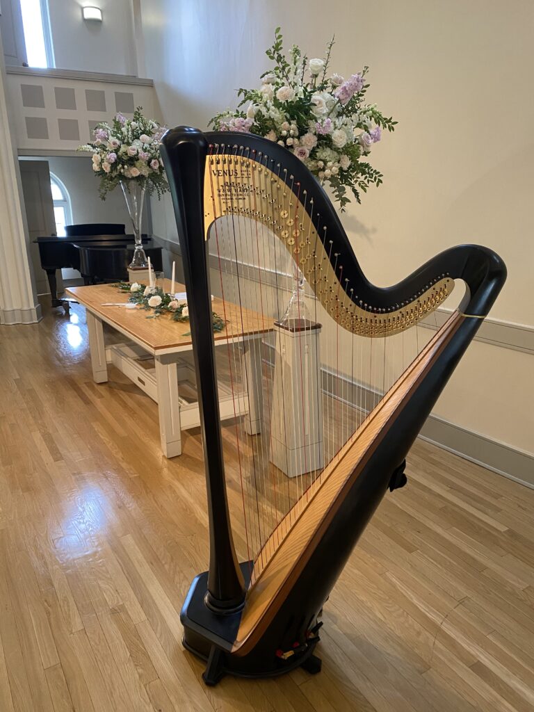 Union City TN Harpist