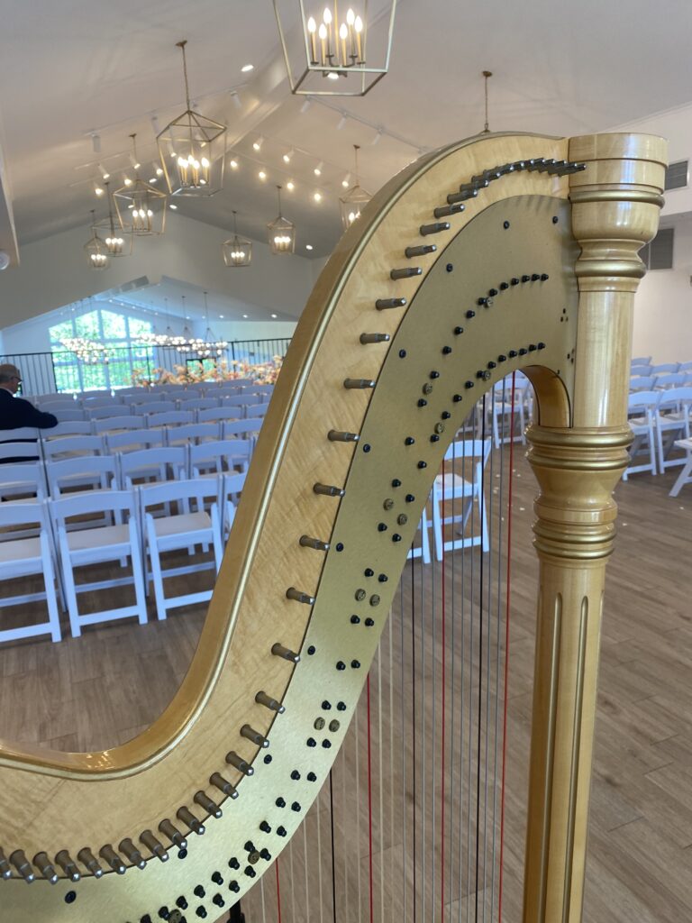 Augusta KY Harpist