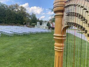 New Castle IN Harpist