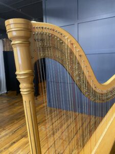 Tri-Cities TN Harpist